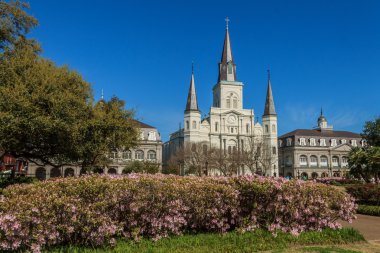 St. Louis Cathedral Azaleas clipart
