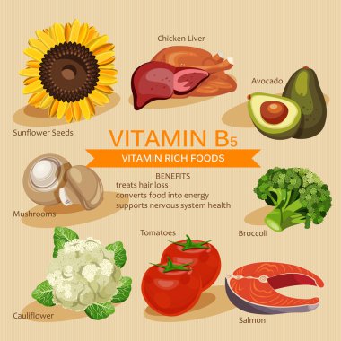 Vitamins and Minerals foods Illustration. Vector set of vitamin rich foods. Vitamin B5. Broccoli, chicken liver, avocado, sunflower seeds, cauliflower, tomatoes, mushrooms, salmon