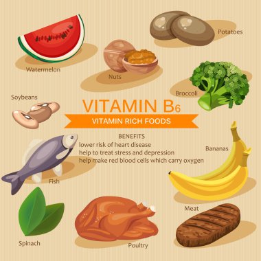 Vitamins and Minerals foods Illustration. Vector set of vitamin rich foods. Vitamin B6. Bananas, spinach, meat, nuts, poultry, fish, potatoes, broccoli and watermelon