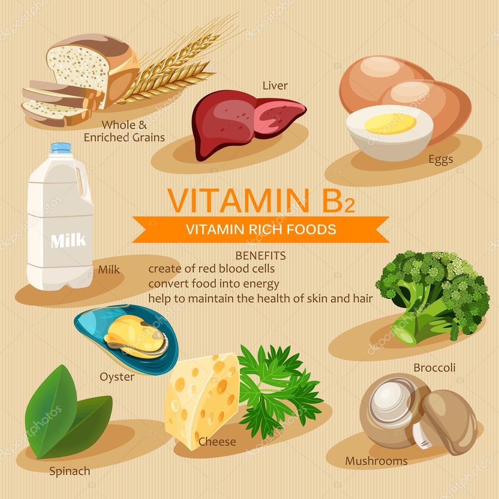 Vitamin B2. Vitamins and minerals foods. Vector flat icons graphic