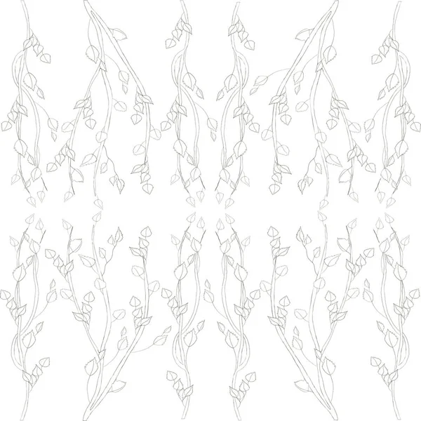 Siyah beyaz el çizilmiş huş dallarıyla vektör illüstrasyonu.