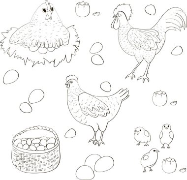 Tavuklar, horozlar, civcivler ve yumurtalarla vektör çizimi