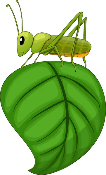 Grasshopper Hoja Ilustración Vectorial Estilo Dibujos Animados — Vector de stock