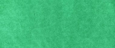 Arkaplan olarak yeşil deri dokusu