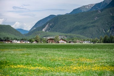 Avusturya Alpleri. Dağ manzarası. Güney Tyrol 'da Avusturya köyü hayatı.