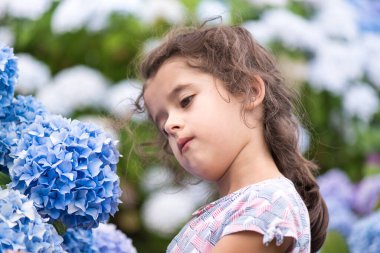 Kız ortancalara hayran kaldı. Bahçedeki mavi ortanca çiçekleri.