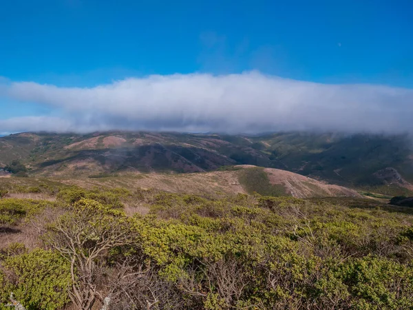 茂密的海岸灌木丛覆盖了缪尔海滩附近的小山 — 图库照片