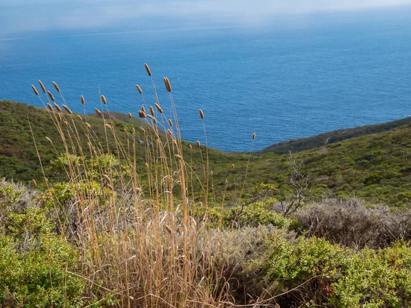 Esfoliação Costeira Norte Perto Muir Beach — Fotografia de Stock