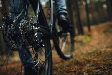 Dağ bisikletinin arka tekerine yakın görüş, bisikletin teçhizatı, ormanda aktif yaşam.