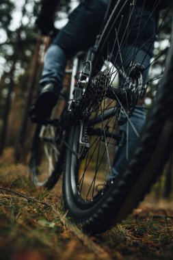 Dağ bisikletinin arka tekerine yakın görüş, bisikletin teçhizatı, ormanda aktif yaşam.