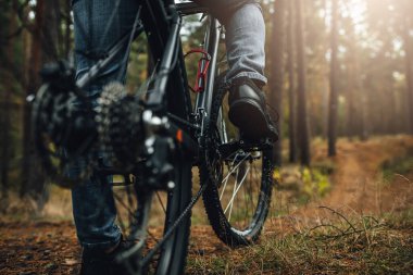 Dağ bisikletinin arka tekerine yakın görüş, bisikletin teçhizatı, ormanda aktif yaşam.