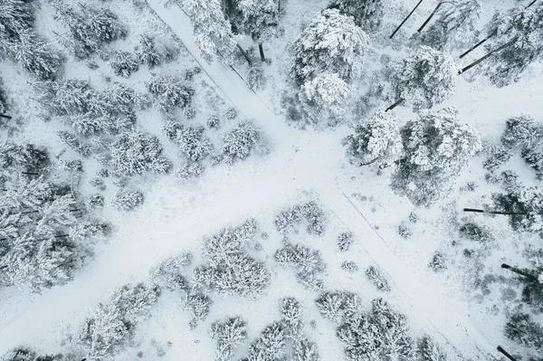 Dron Pohled Lesní Cesty Stromy Pokryté Sněhem Zamrzlé Zimní Krajiny — Stock fotografie