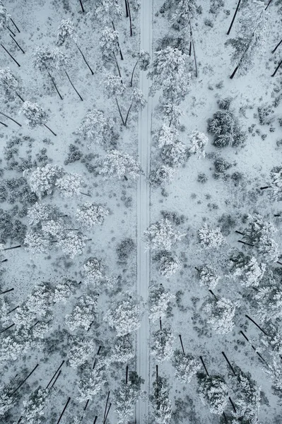 Ponto Vista Drone Árvores Florestais Cobertas Neve Paisagem Congelada Inverno — Fotografia de Stock