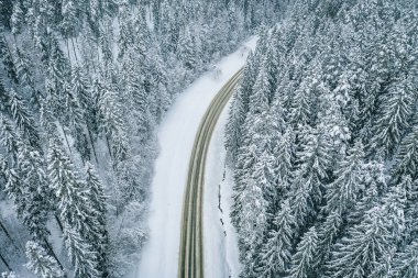 Karla kaplı köknar ağaçları ve kar fırtınasıyla çevrili güzel bir yolun büyüleyici hava manzarası.