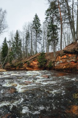 Bulutlu bir gökyüzünün altındaki ağaçlarla çevrili Amata Nehri 'nin dikey görüntüsü, kumtaşı kayalıkları manzaralı Orman nehri.