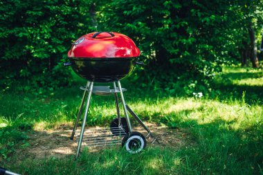 Parkta yeşillikli bir ızgara.