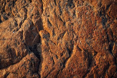 Yaz mevsiminde Baltık Denizi 'nin güzel manzarası.  