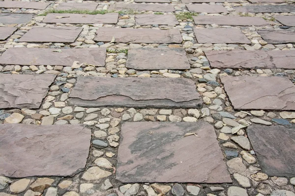 Gehweg im Garten — Stockfoto