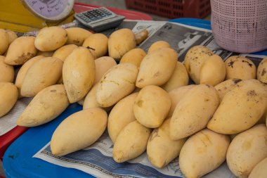 Markette sarı mango 