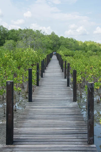 Drewna most w mangrowe sposób natura badanie thung widelec Thong, Rayong, Tajlandia — Zdjęcie stockowe