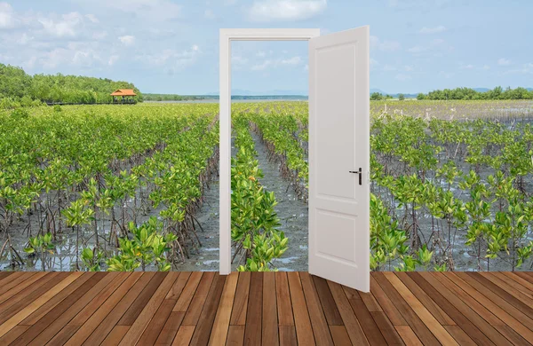 Krajobraz za otwieranie drzwi — Zdjęcie stockowe
