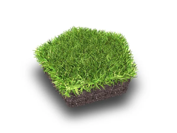 Cross section of ground with grass isolated on white, 3d rendering — Stock Photo, Image