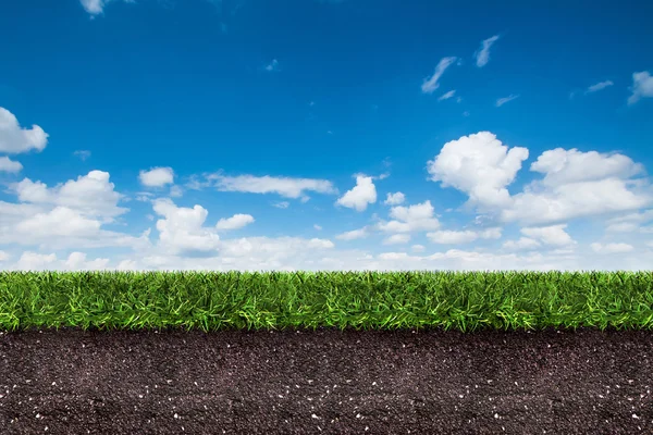 Hierba verde con tierra en el cielo azul., 3d renderizado — Foto de Stock