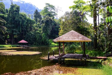 Tayland, Chantaburi 'deki Krating Şelalesi' nde göllü ahşap pavyon.