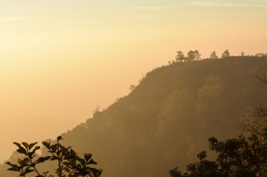 Phu rua sabah, Tayland
