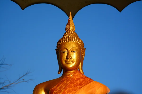 Buddha de oro en Phu Rua, Tailandia — Foto de Stock