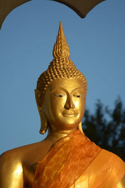 Gouden Boeddha op phu rua, thailand — Stockfoto