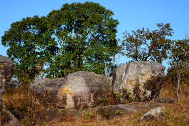 Taş Phu Rua dağda, Tayland