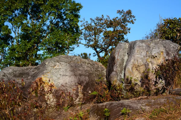Piedra en la montaña Phu Rua, Tailandia —  Fotos de Stock