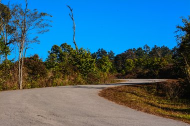 yolda phu rua dağ, Tayland