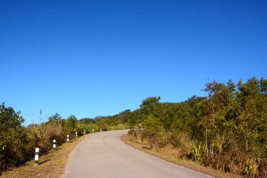 yolda phu rua dağ, Tayland