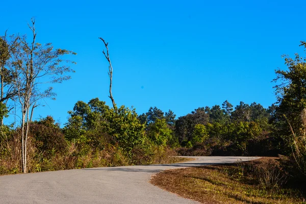 Strada sulla montagna Phu Rua, Thailandia — Foto Stock