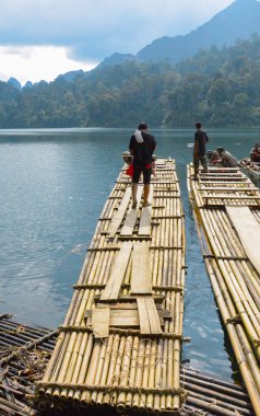 bambu sallar cheow lan Gölü, khao sok Milli Parkı, Tayland