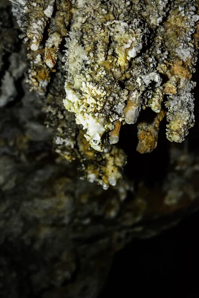 Parede de calcário em uma caverna coberta com gotejamento, lago Cheow Lan, Parque Nacional Khao Sok, Tailândia — Fotografia de Stock