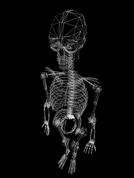 Menselijk skelet geïsoleerd op zwarte achtergrond, 3d draadframe — Stockfoto