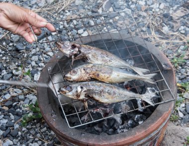 Barbekü ızgara balık