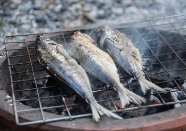 Barbekü ızgara balık