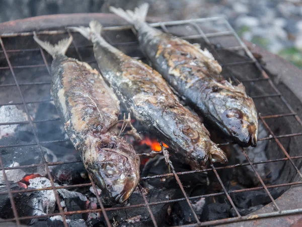 Grilling ikan pada barbekyu — Stok Foto