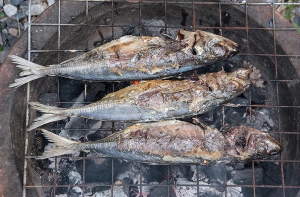 Grilling ikan pada barbekyu — Stok Foto