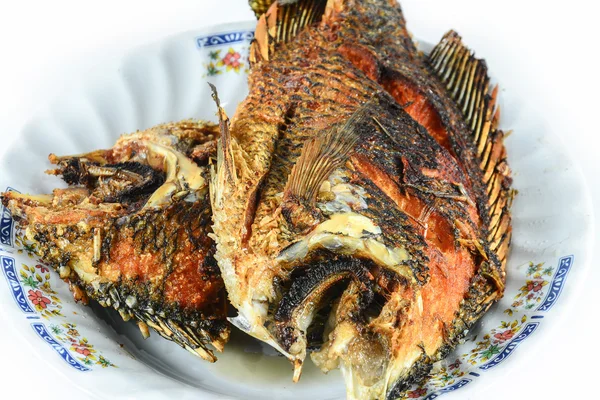 Pesce fritto Tilapia fritto su piatto isolato su sfondo bianco — Foto Stock