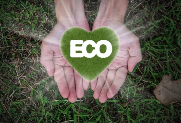 Eco parola con cuore d'erba nelle mani, concetto di ecologia — Foto Stock