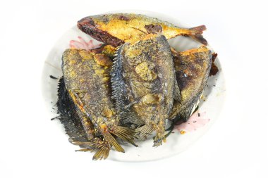 Kızarmış yılan derisi gurami üzerine beyaz izole