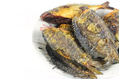 Kızarmış yılan derisi gurami üzerine beyaz izole