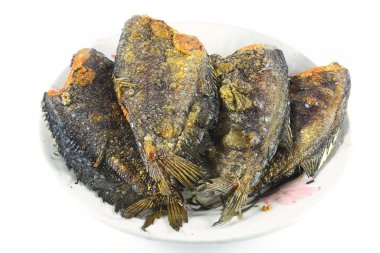 Kızarmış yılan derisi gurami üzerine beyaz izole