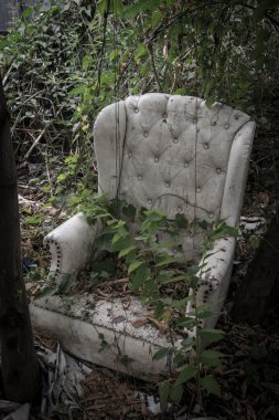 Bitkiler tarafından büyümüş lüks koltuk