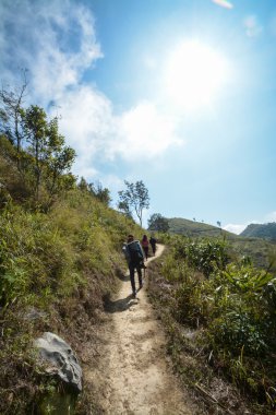 PHA Tung dağ, Chiang Rai, Tayland